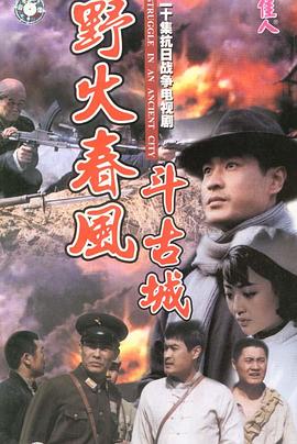 野火春风斗古城(全集)