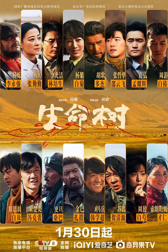生命树(全集)