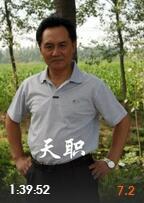 天职(全集)